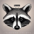 Racoon