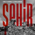 Şehir