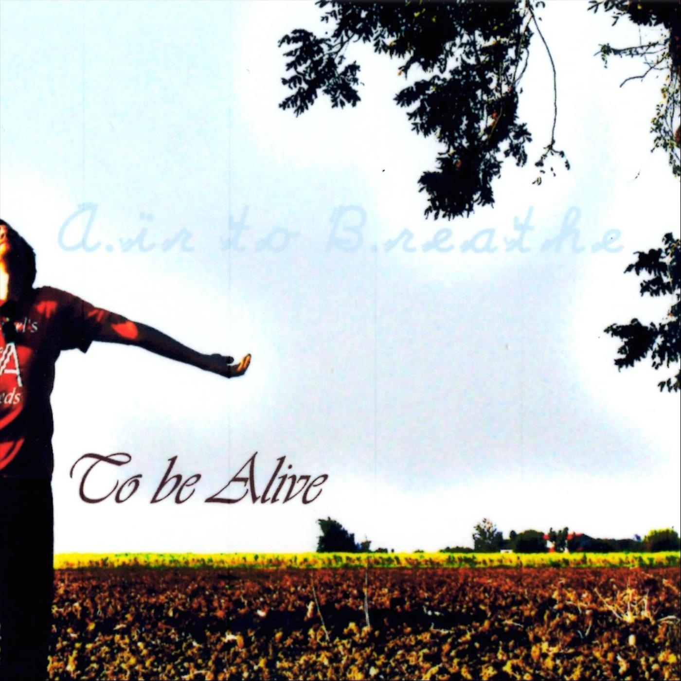 Air to Breathe - The Clown Is Down