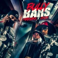 Bully Bars (Explicit)