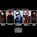 What you sayin' (feat. Tuge Palermo, Masspike Miles, Styles P & French Montana)(Explicit)