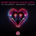 How Deep Is Your Love