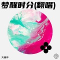 刘姗婷 - 再回首