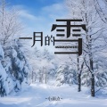 一月的雪