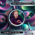 Unique Voices Of Psytrance, Vol. 10 (Explicit)