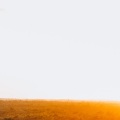 Lindsay Lohan、Piano Vampire、Rian Ara Official、Tale Of Us、Small Jam、MrBeast、Piano Relaxium - In Your Dreams