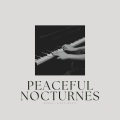Amazing Spa Music - Ambient Jamboree