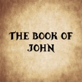 Books of the Bible - John 8