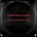 TIGERSTADEN (MADRUGADA) [Explicit]