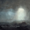 Where Now a Dark Wood Stands (feat. Julie Fowlis)