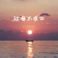 江海不渡你