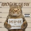 Despise (feat. Radio Rahim) [Explicit]