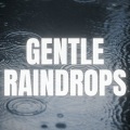 Gentle Raindrops