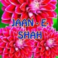 Stories - Jaan E Shah _ Urdu & Hindi Stories
