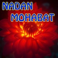 Stories - Nadan Mohabat _Urdu & Hindi Stories