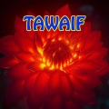 Stories - Tawaif _Urdu & Hindi Stories