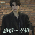 感情~专辑