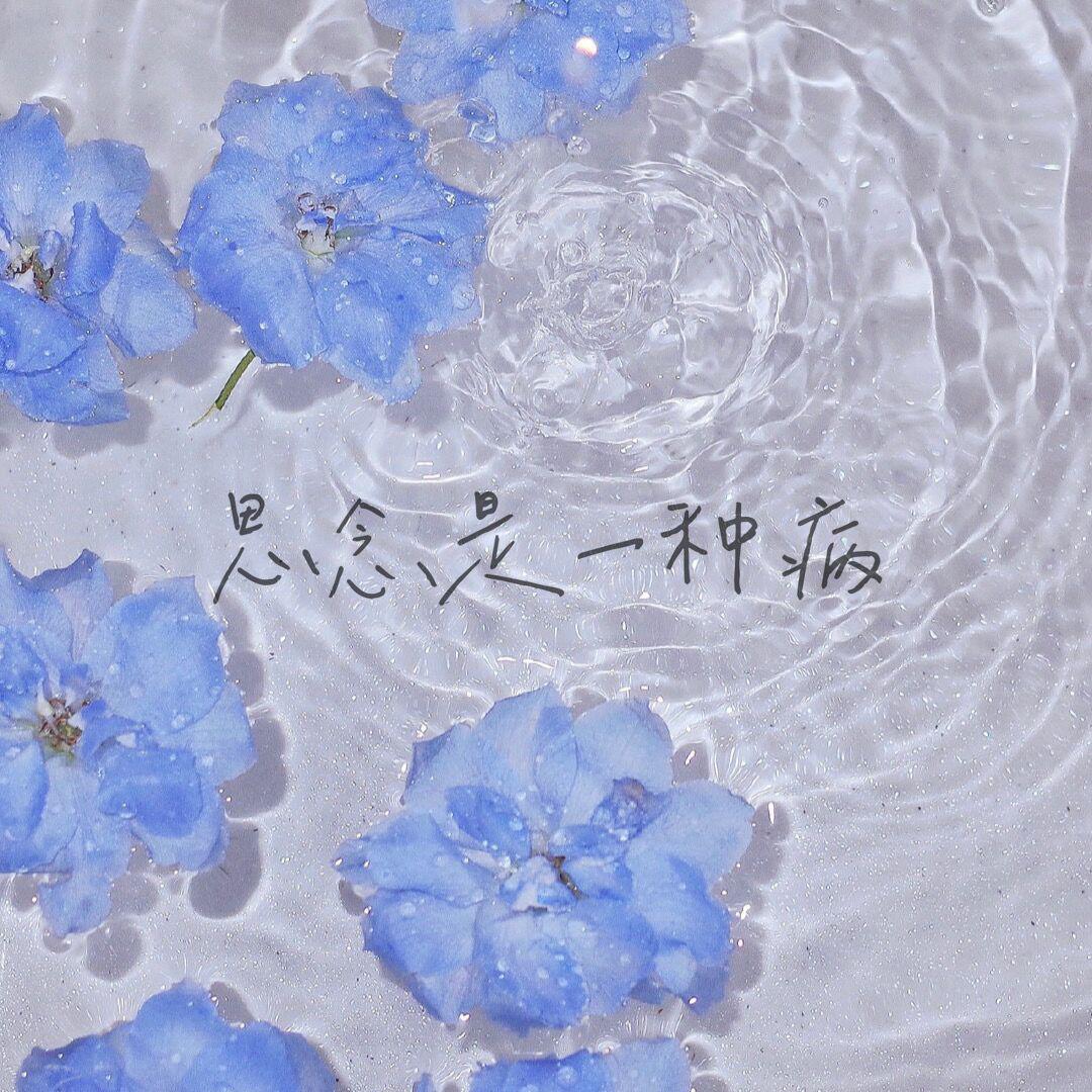 艾酱儿 - 思念是一种病