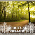 Spiritual Mellow - Mystery Movie