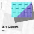 郭报芳 - 化身孤岛的鲸