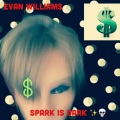 Evan Williams - Spark is Dark