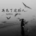 DJ阿天 - 再见了过路人
