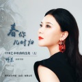 师乐 - 沁园春.雪