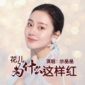 花儿为什么这样红