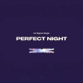 尹东星 - Perfect Night