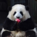 乌拉蒙 - 渡口
