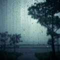 吴盈妗 - 雨爱