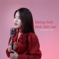 Dương Lan Nhi、Viam - Không Biết Phải Làm Sao