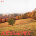 顾天 - 在那遥远的地方 (男伴奏)