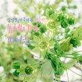 Toshio Nakagita - 있는 그대로가 완벽해 (Perfect as it is)
