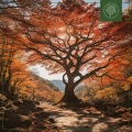 Autumn Grove