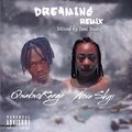 Nova Skyi、Qwadwo Range - Dreaming Remix (Explicit)
