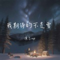 我期待的不是雪 (emo版)