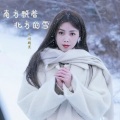 南方飘着北方的雪