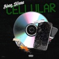 King Slime - Problem