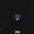 Reezyo T、Digit - Misunderstandings Of Life (Explicit)
