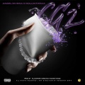 CG2 (Explicit)