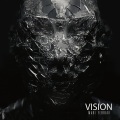 Vision