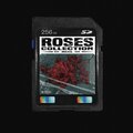Mog、Mo Gholami - BlUEROSE