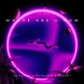 DJ SLAPPY、SICKCODE、Hung Anh - Where Are U Now (feat. SICKCODE & HUNG ANH)