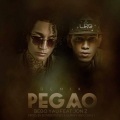 Pegao (feat. Jon Z)(Remix|Explicit)