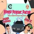 Ronko Porque Puedo (feat. Mike Towers)(Explicit)