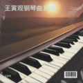 王寅观 - 真诚的美丽