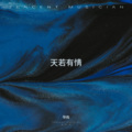 Aio温温 - 天若有情