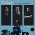 Trifecta、Nick Beggs、Craig Blundell、Adam Holzman - Stupid Pop Song