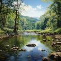 Grabaciones relajantes de la Naturaleza、Aguas Pura、Música para estudiar duro - Jornada De Estudio Junto Al Río